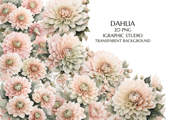 Download Rose Gold and Green Dahlia PNG - Rose gold Collection