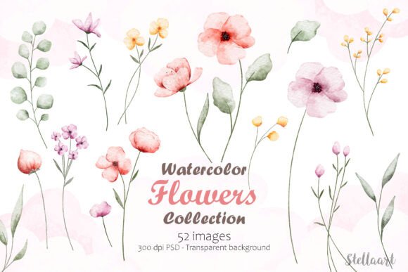 Download Watercolor Flowers Collection - Flowers Collection