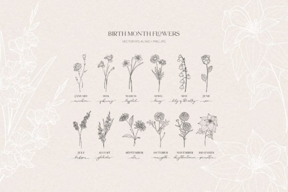 Download Birth Month Flowers, Botanicals - Flowers Collection